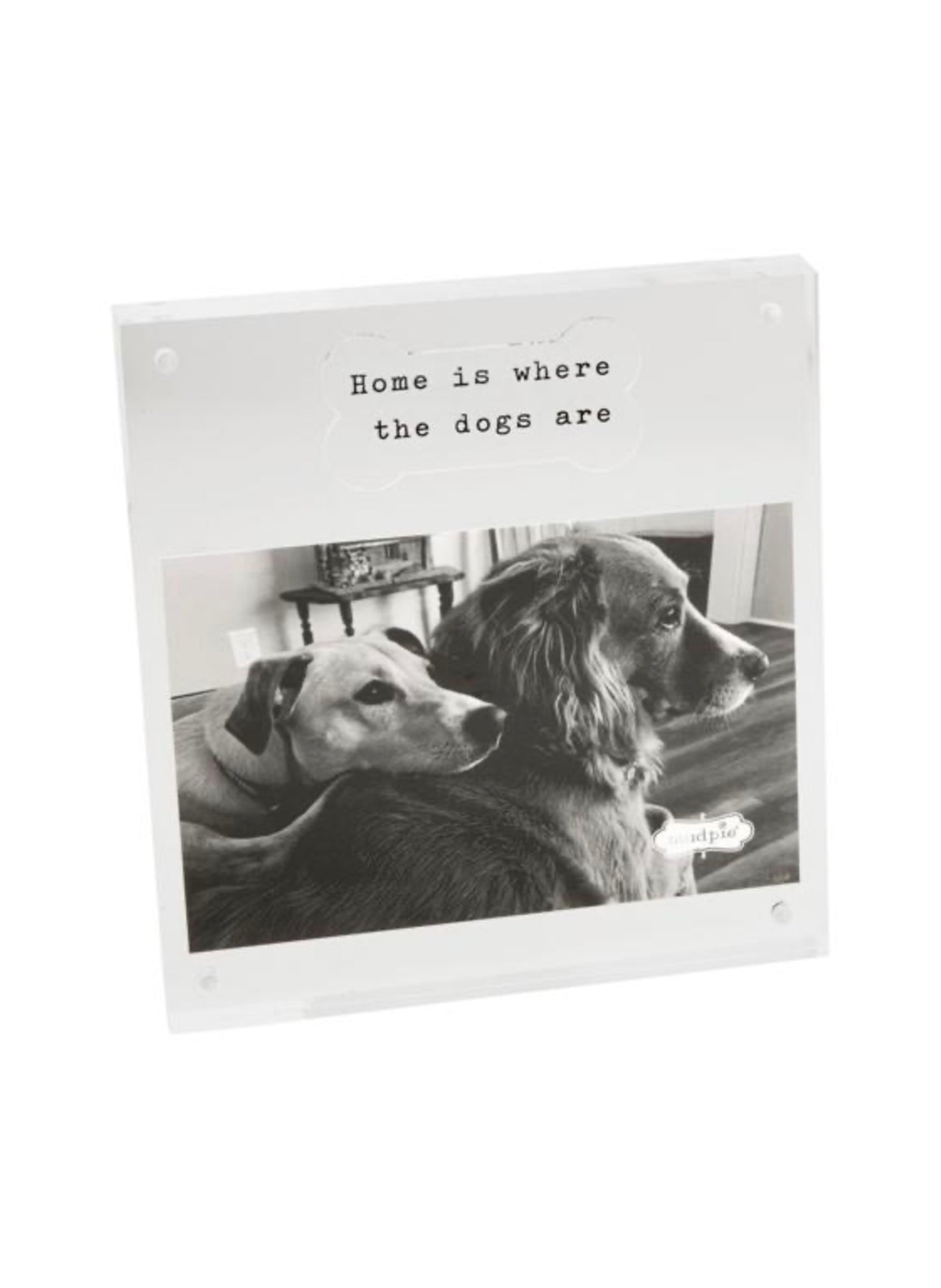 4X6 Acrylic Dog Bone Frame