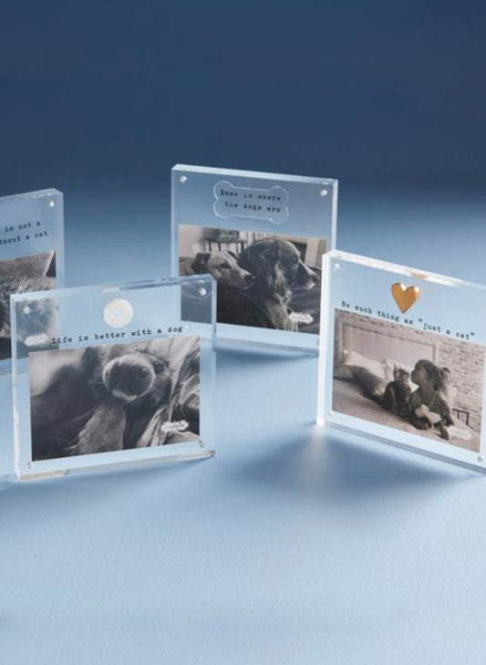 4X6 Acrylic Dog Bone Frame