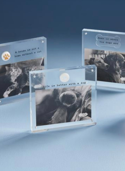 4X6 Acrylic Dog Paw Frame