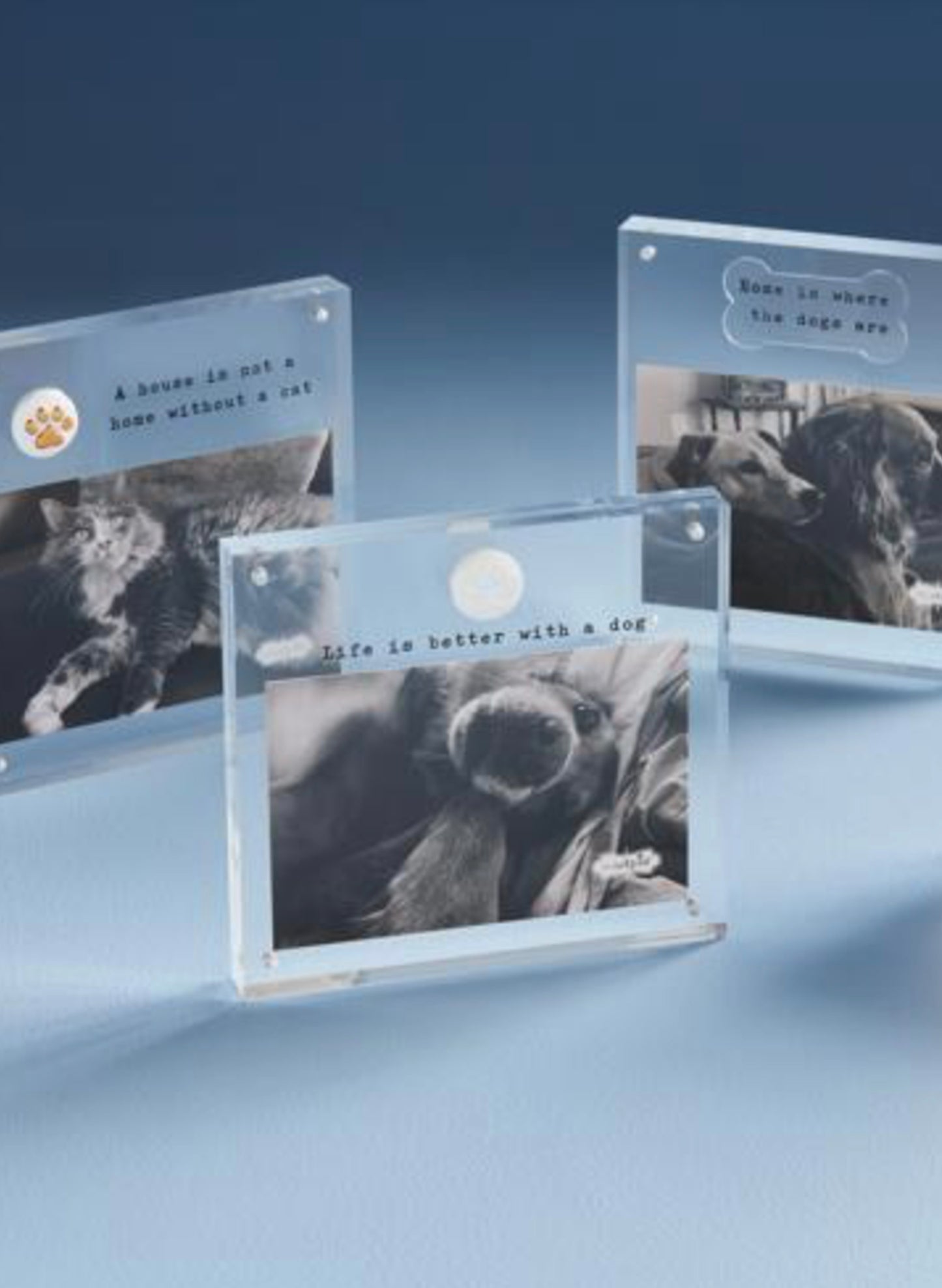 4X6 Acrylic Dog Paw Frame