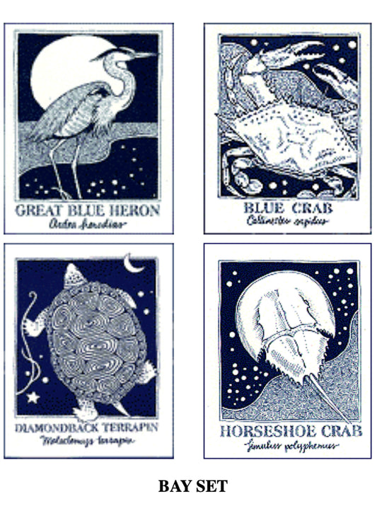 Down The Shore Publishing Corp. SeaNotes notecards - Bay set: 4 card designs available at The Good Life Boutique