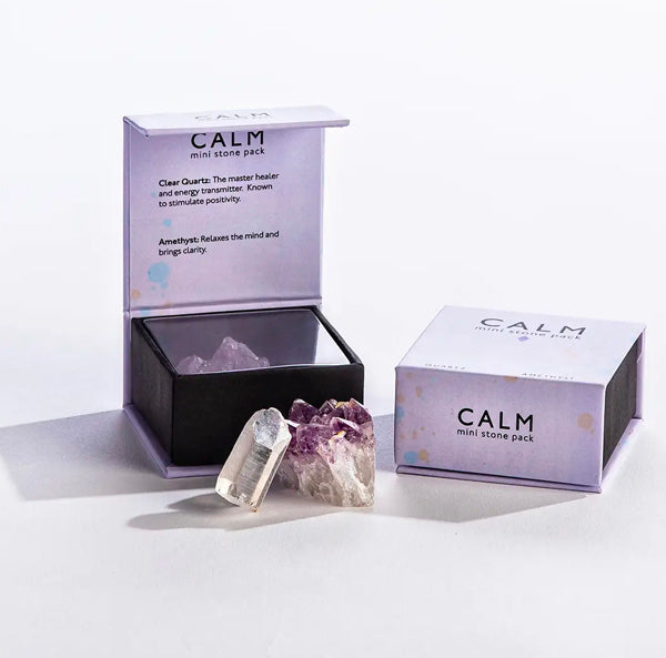 Mini Stones GeoCentral Calm Mini Stones: Clear Quartz and Amethyst Pack | The Good ...