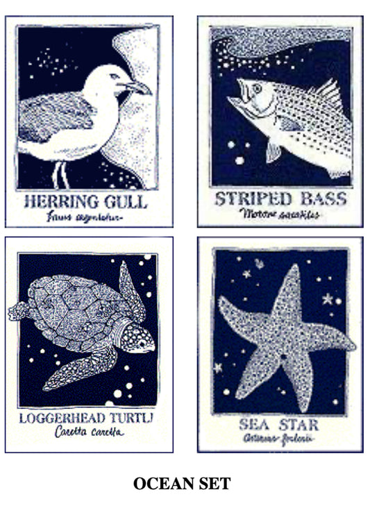 Down The Shore Publishing Corp. SeaNotes notecards - Ocean set: 4 card designs available at The Good Life Boutique