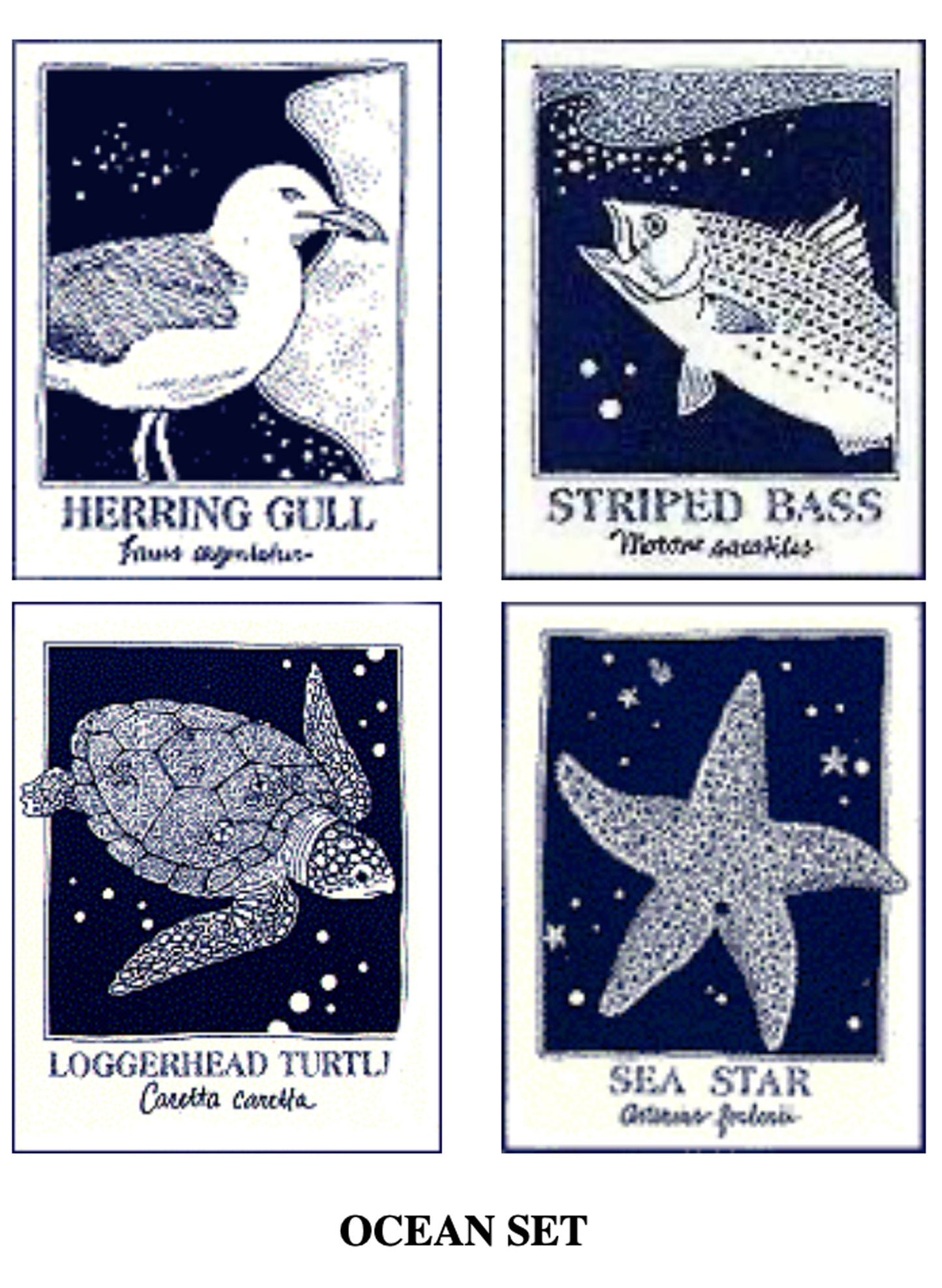 Down The Shore Publishing Corp. SeaNotes notecards - Ocean set: 4 card designs available at The Good Life Boutique