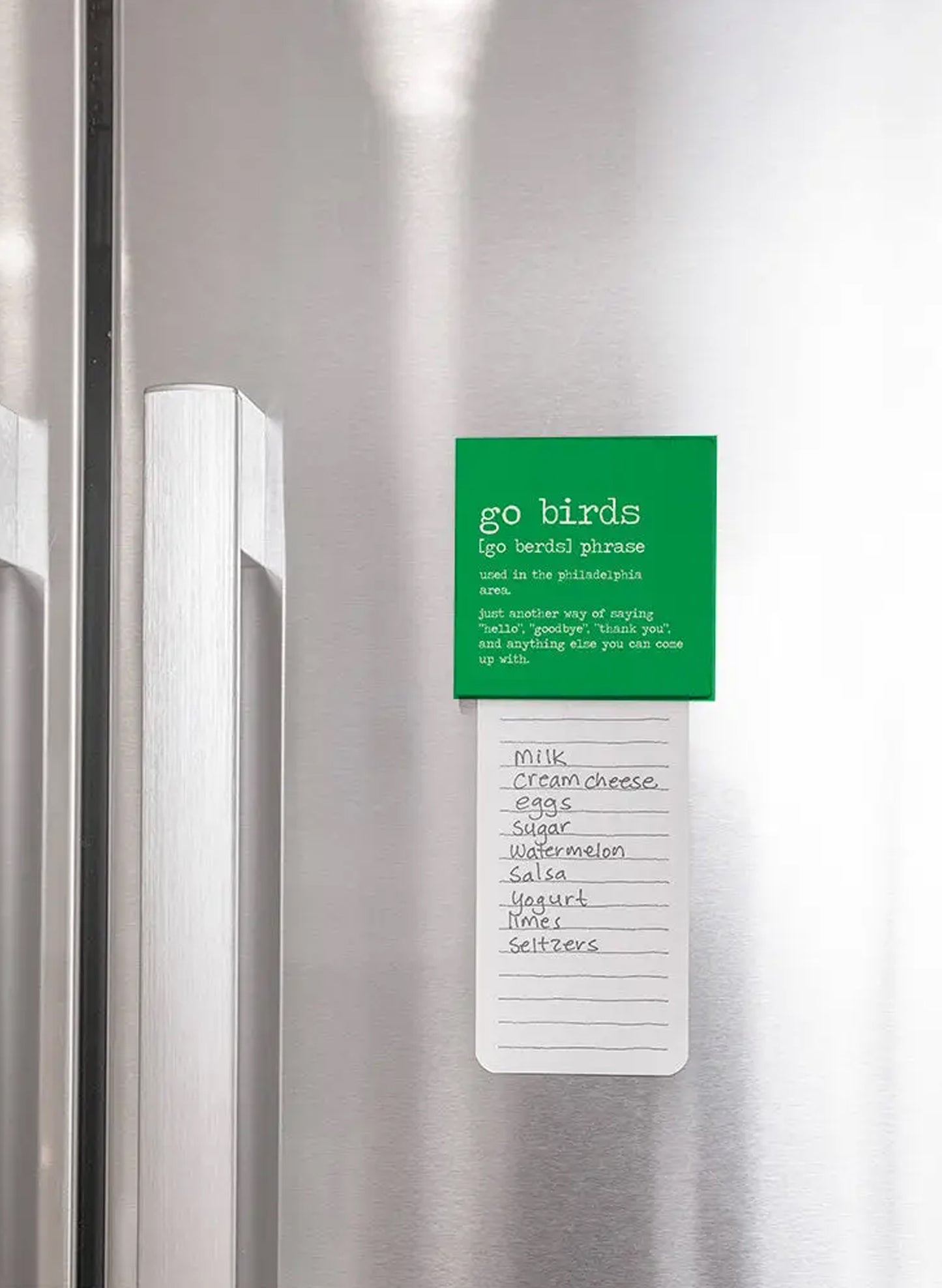 Philly Go Birds Definition Magnet