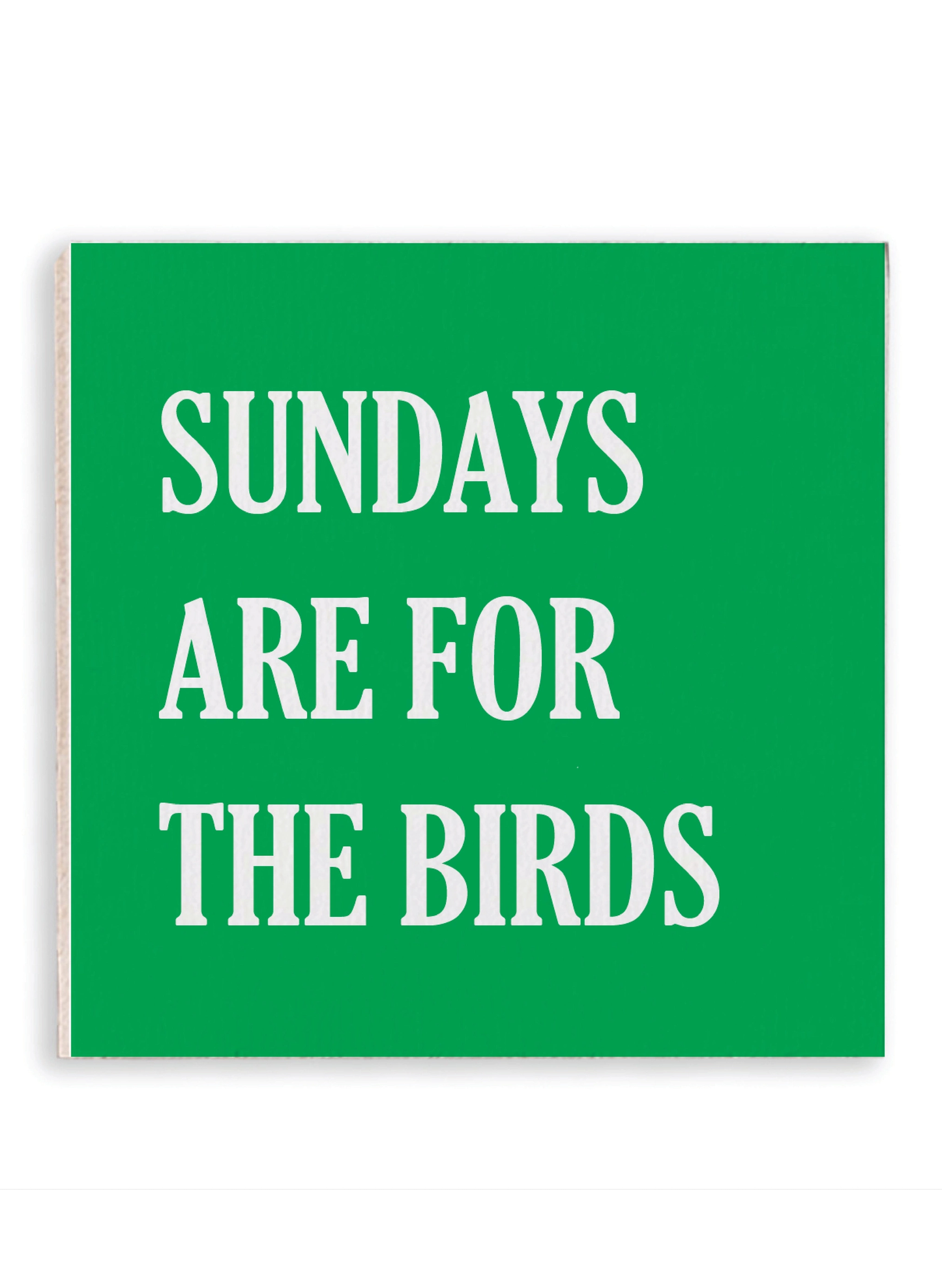 Philly Sundays Are For The Birds Magnet