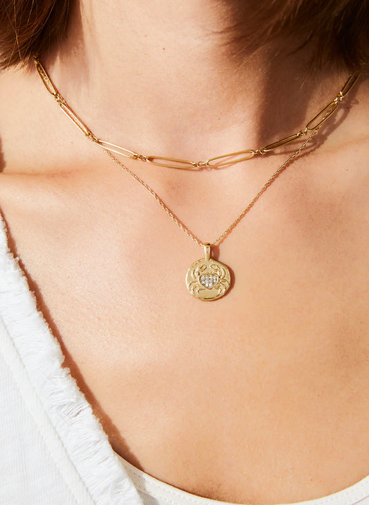 Spartina SP Snow Crab Medallion Necklace 18" Crab available at The Good Life Boutique