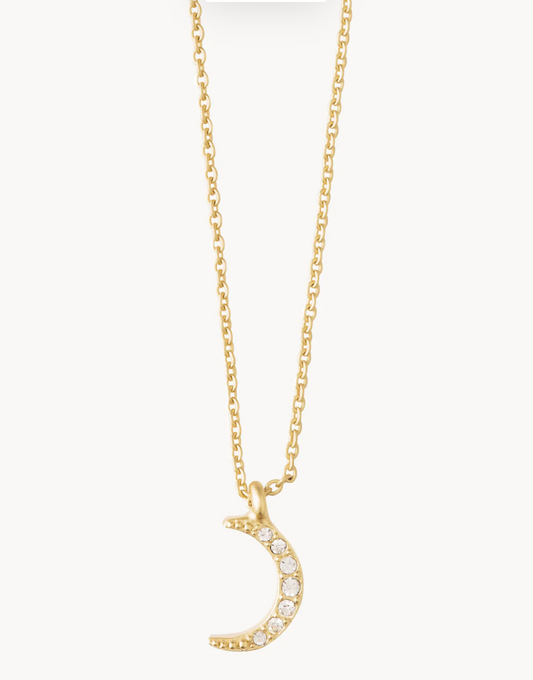 Spartina Sea La Vie Necklace 18" Guiding available at The Good Life Boutique