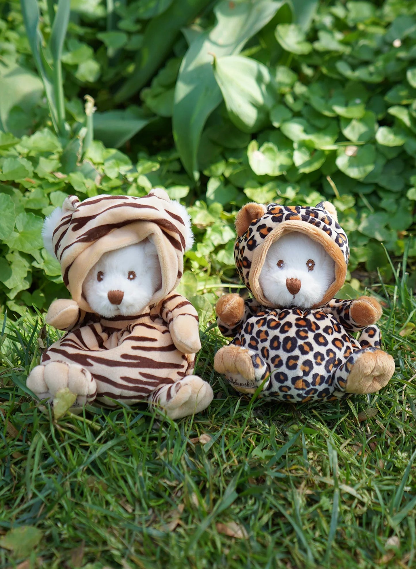 Bukowski Bears Bukowski Ziggy Tiger available at The Good Life Boutique