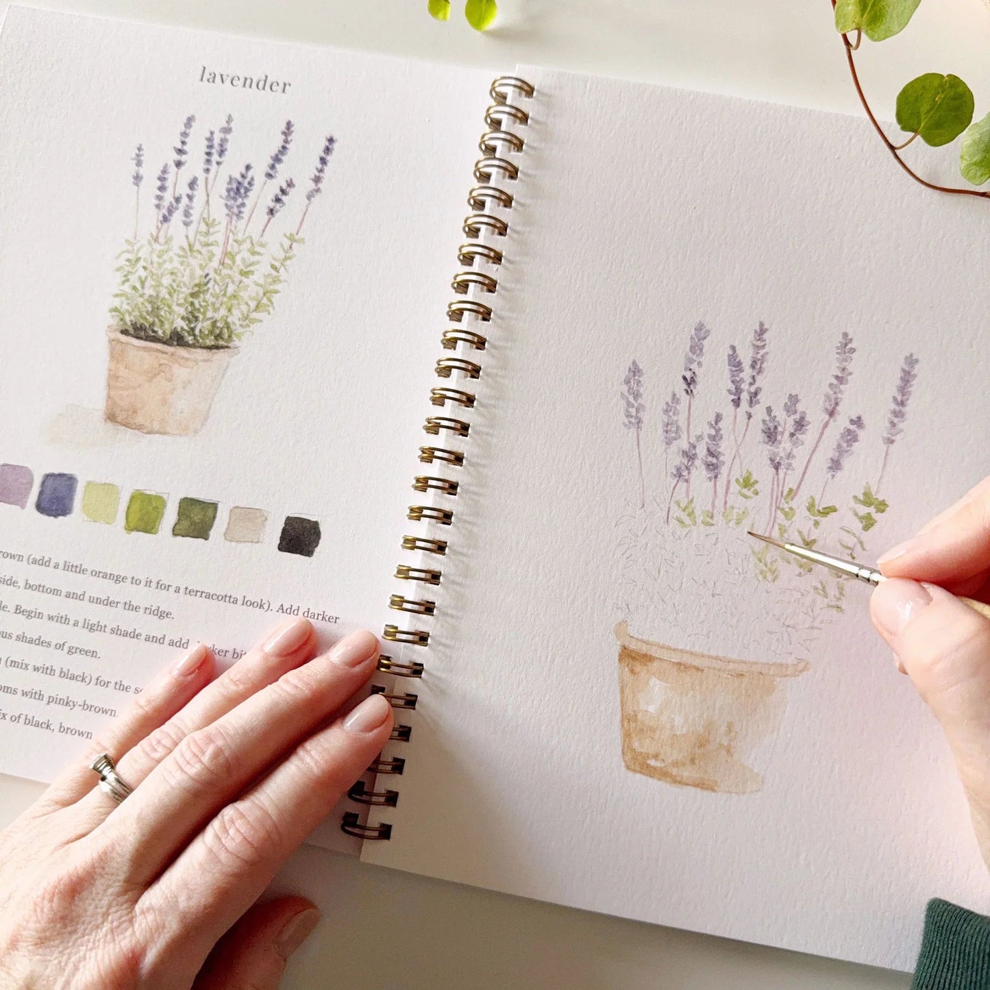 Emily Lex Studio Garden Watercolor Workbook available at The Good Life Boutique