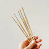 Emily Lex Studio Watercolor Paintbrush Set Of Five Wood Brushes available at The Good Life Boutique