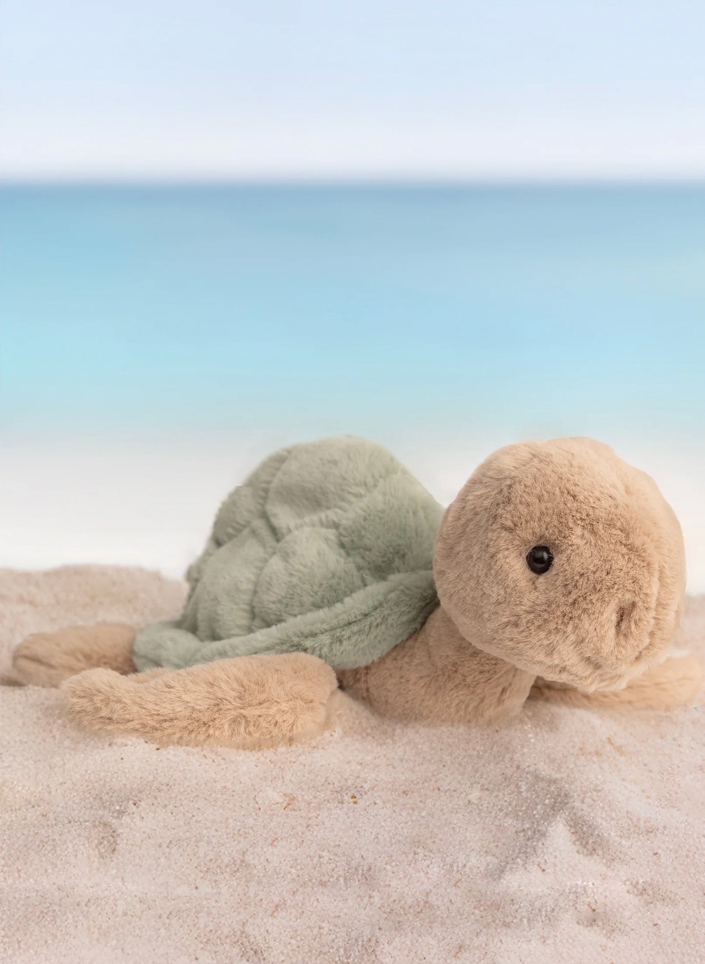 Bukowski Bears Bukowski Sandy The Turtle available at The Good Life Boutique