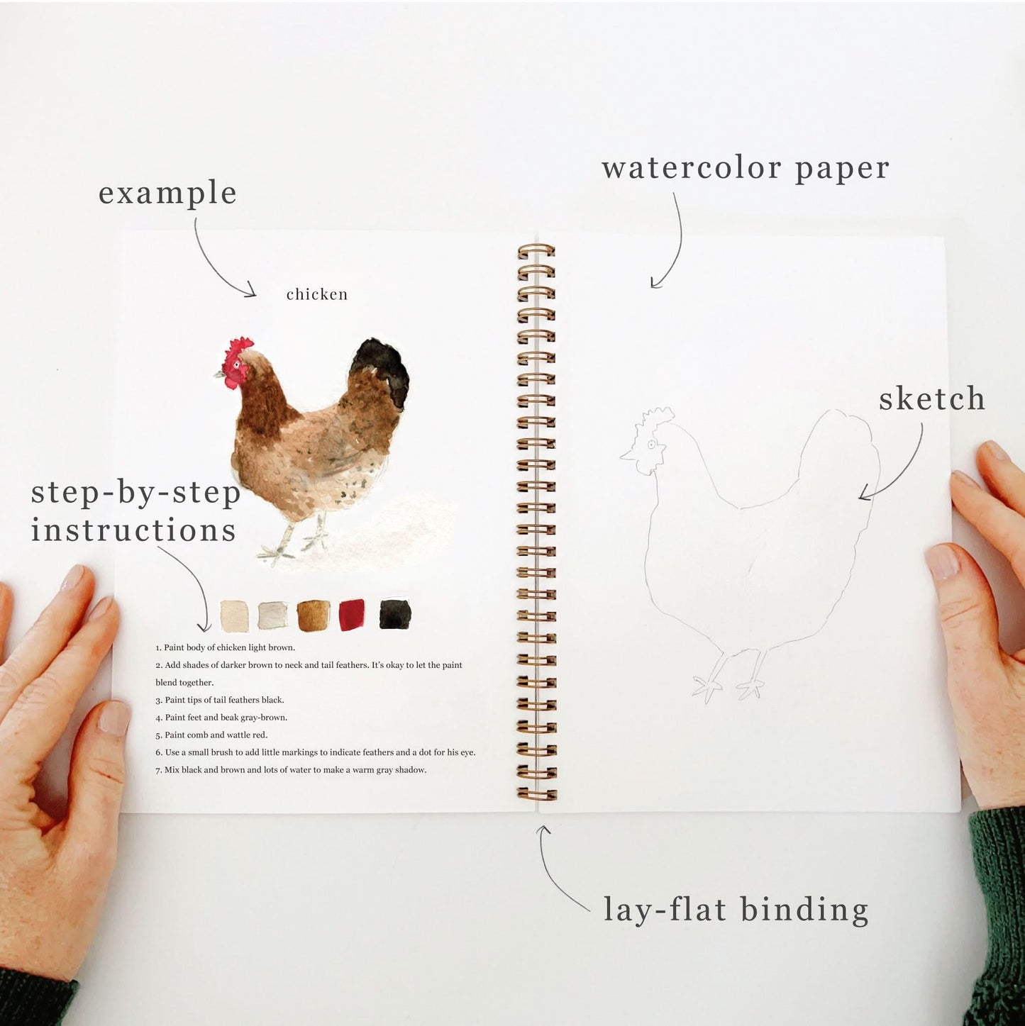 Emily Lex Studio Animals Watercolor Workbook available at The Good Life Boutique