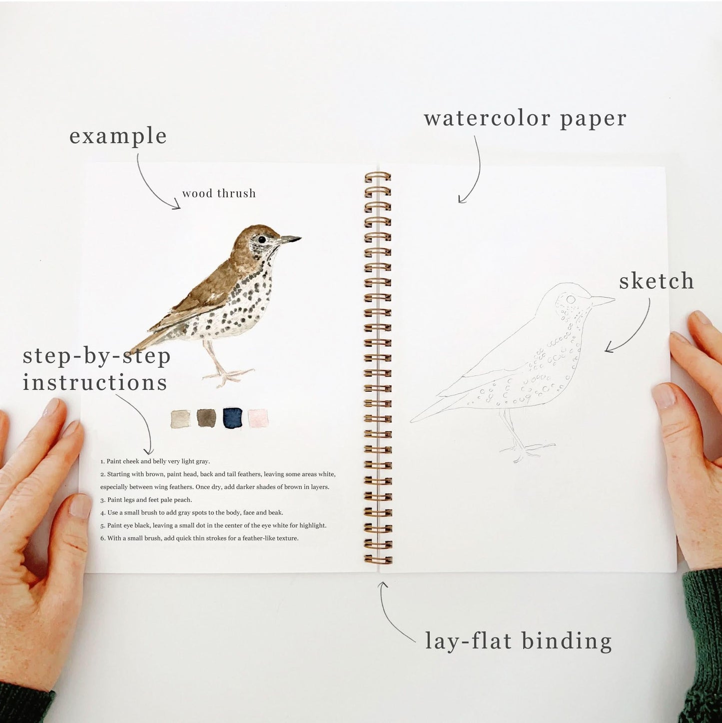 Emily Lex Studio Birds Watercolor Workbook available at The Good Life Boutique