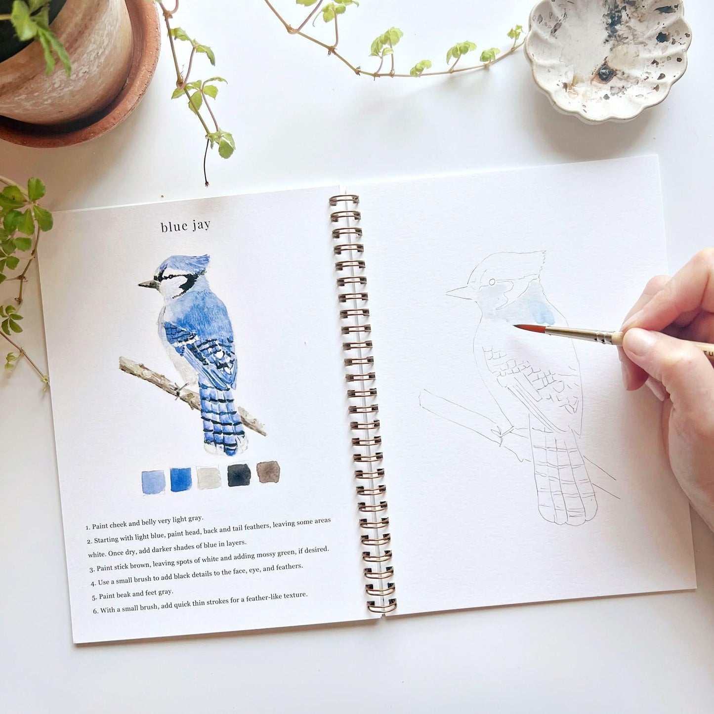 Emily Lex Studio Birds Watercolor Workbook available at The Good Life Boutique