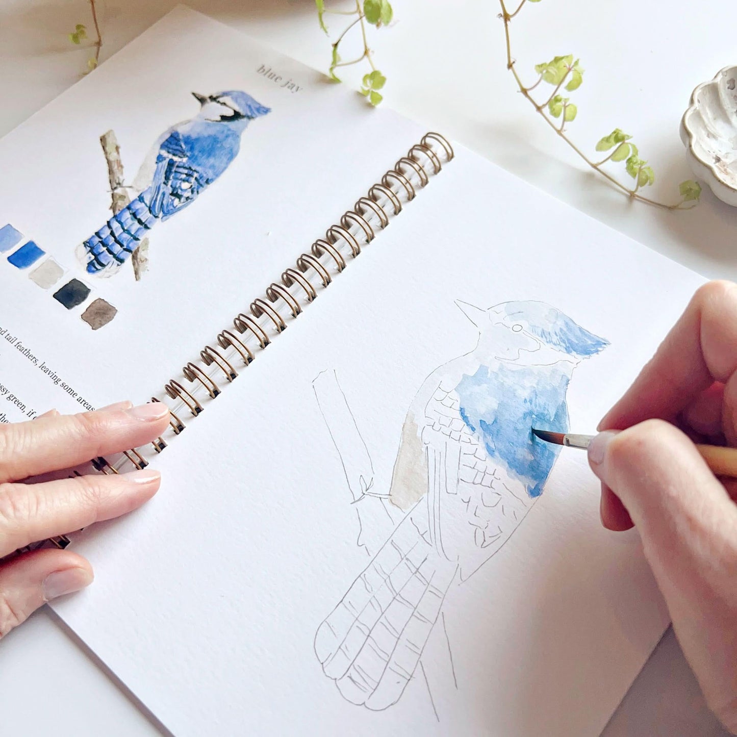 Emily Lex Studio Birds Watercolor Workbook available at The Good Life Boutique