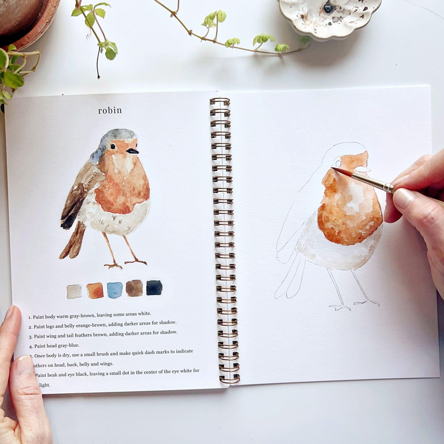 Emily Lex Studio Birds Watercolor Workbook available at The Good Life Boutique