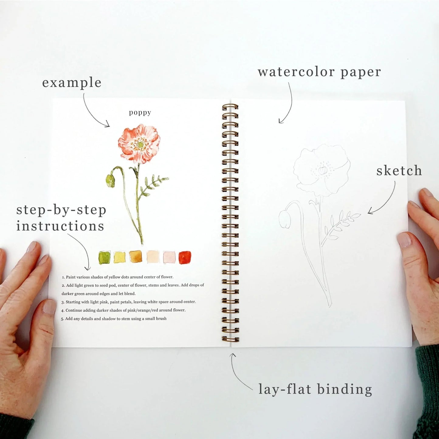 Emily Lex Studio Flowers Watercolor Workbook available at The Good Life Boutique
