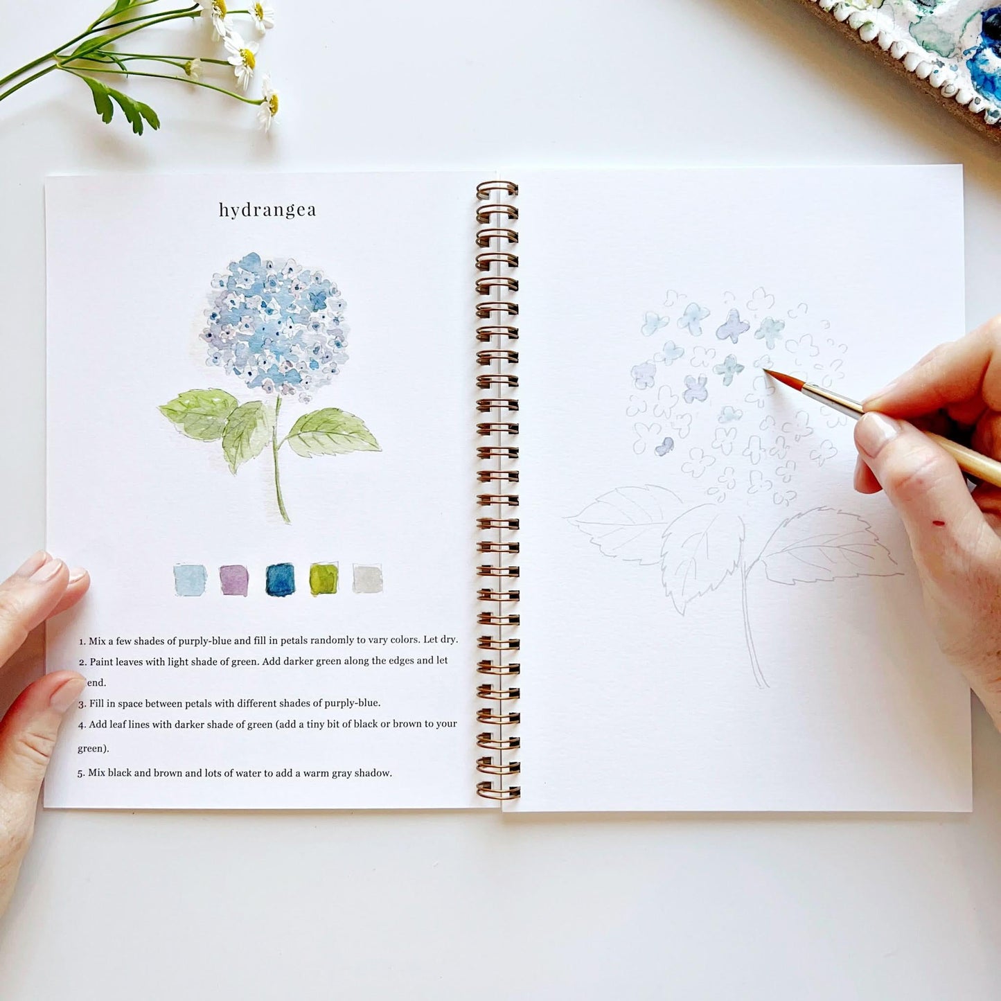 Open watercolor workbook showing hydrangea painting tutorial with hands holding paintbrush and color swatches