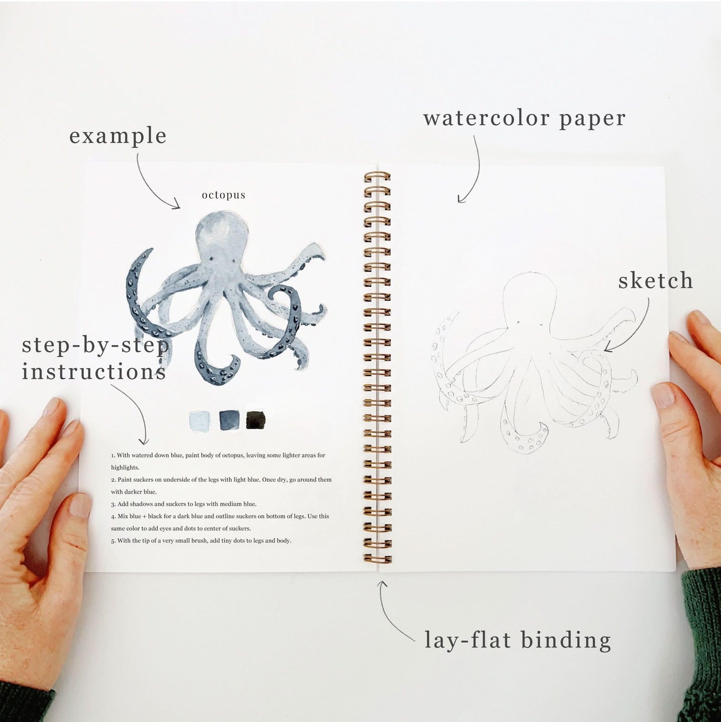 Emily Lex Studio Seaside Watercolor Workbook available at The Good Life Boutique