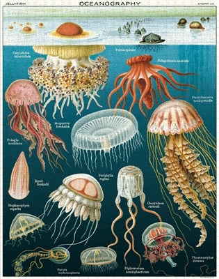 Cavallini Papers & Co., Inc. Jellyfish 1,000 Piece Puzzle available at The Good Life Boutique