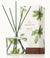 Thymes Frasier Fir Pine Needle Diffuser available at The Good Life Boutique