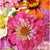 Pink Picasso Kits Pink Picasso Kits - Zealous Zinnie available at The Good Life Boutique